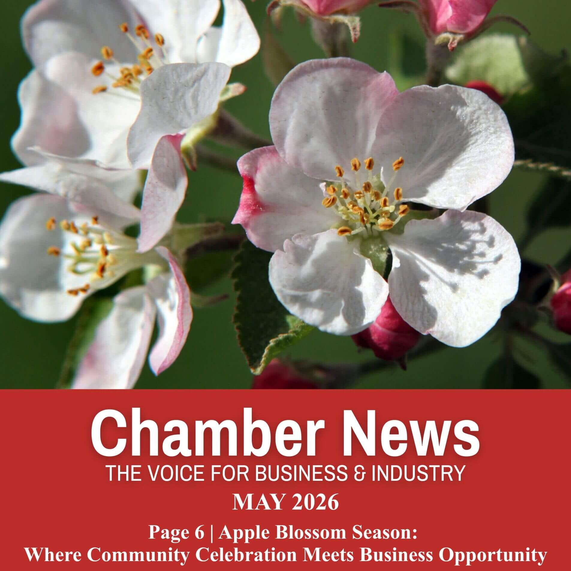 2026 Newsletter Cover - May